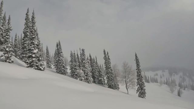 Никого вокруг в радиусе 60км, мы катаем снежные просторы.               18.02.2022 г.