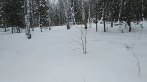 Рысь 440 в глубоком снегу без проблем