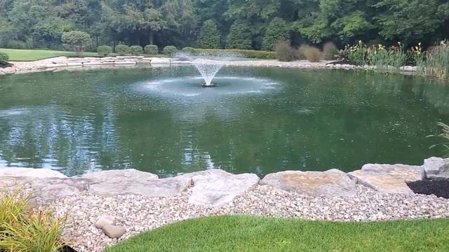 Bio-Fusion Designs Front Yard Natural Pond with Foutain смотреть онлайн