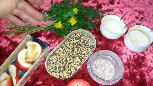 КаНаРеЙкИ-линька.кормление вовремя линьки.