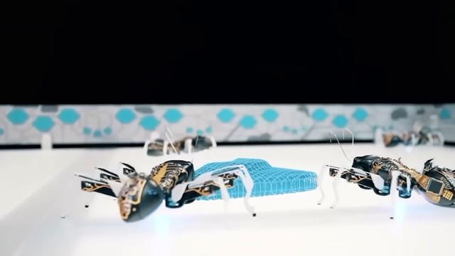 Robot Animals That Will Blow Your Mind смотреть онлайн