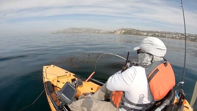 Kayak Fishing The Dana Point Kelp Beds | The Strand смотреть онлайн