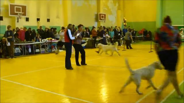 "Золотой Амур" 03.10.2013 смотреть онлайн