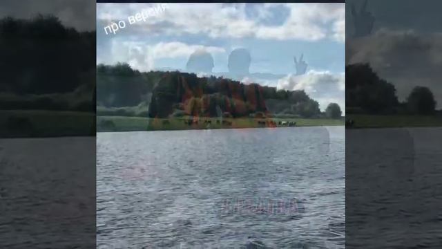 Поздравления рыбаку смотреть онлайн