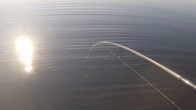 сом на квок смотреть онлайн