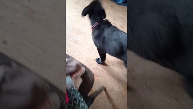 19 декабря 2023 г.(2) смотреть онлайн