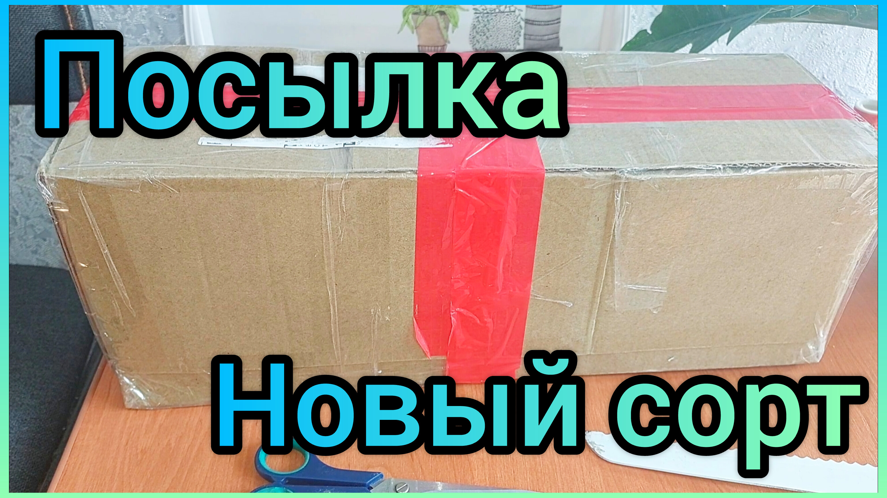 #ПОСЫЛКА ?Не устояла?Новый #сорт ?Неприхотливая #лиана ? #РАСТЕНИЯ #ЦВЕТЫ #распаковка #покупки смотреть онлайн