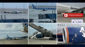 Как умирал муж Дианы Гурцкой, подробности трагической смерти в самолете