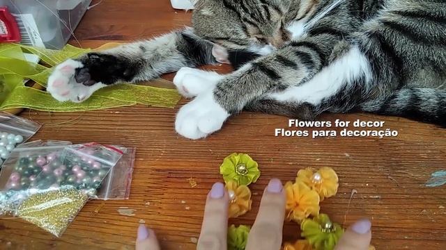 Спящий кот/Sleeping cat/Gato adormecido смотреть онлайн