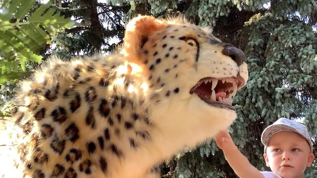 Леопард 🐆 смотреть онлайн