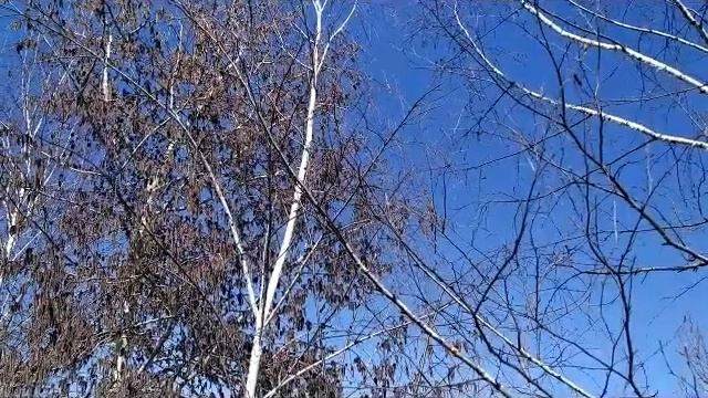 26 марта- Никифоров день смотреть онлайн