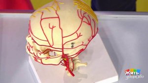 Причины головокружения. Жить здорово! Фрагмент выпуска от 17.01.2018