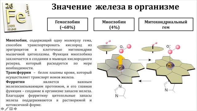 «Металлы в человеческом организме: вред и польза» Часть 1. смотреть онлайн
