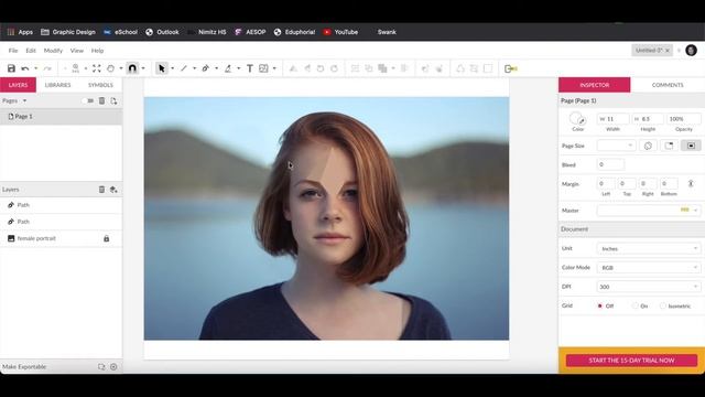 Gravit Designer Tutorial-Low Poly Portrait смотреть онлайн