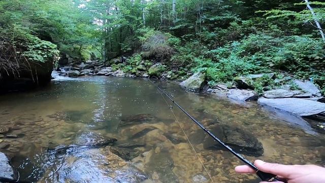 Риболов на ПЪСТЪРВА на ВОБЛЕР на малка река