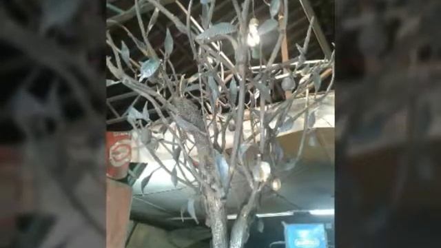 Наши художественная ковка смотреть онлайн