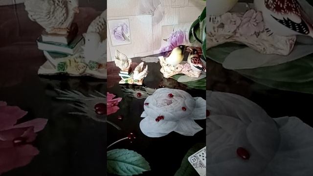 ТАЙНА КОТА.
ГАДАНИЕ НА БОБАХ. смотреть онлайн