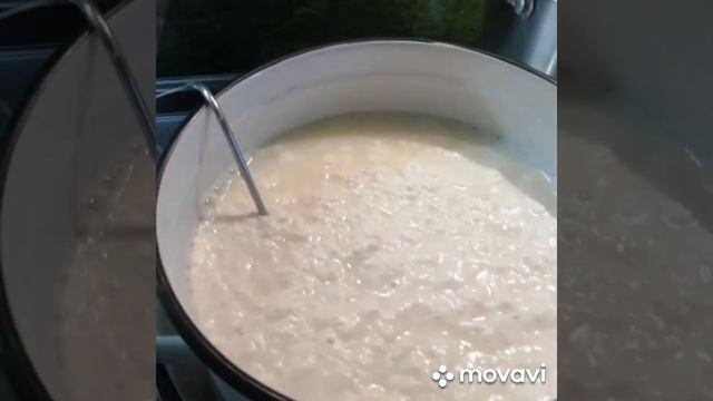 АДЫГЕЙСКИЙ СЫР С ТРАВАМИ (мой вариант) смотреть онлайн
