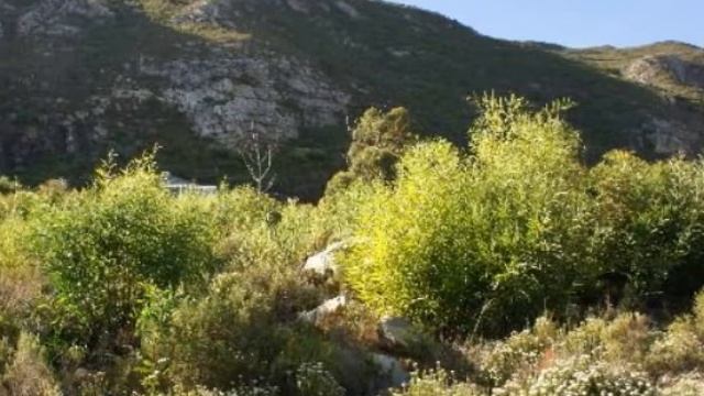 Vacant Land For Sale in Chanteclair, Hermanus, South Africa for ZAR R 800 000 смотреть онлайн