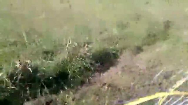 Грабли-ворошилки «Солнышко» после переделки в работе. смотреть онлайн