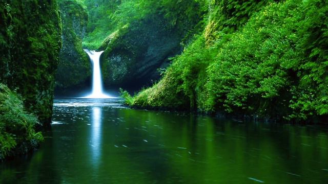 Smooth Relaxing Saxophone Music with water flowing смотреть онлайн