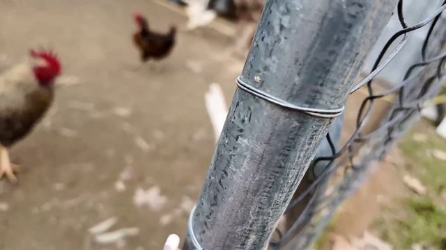 муж купил игрушку за 7 тысяч евро/ Такое сказала сыну самой стало стыдно. смотреть онлайн