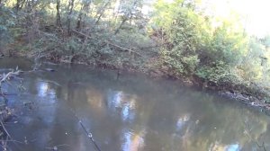 Purelure Creek Dance 562UL | Есть что рассказать