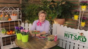 Конфидор Экстра ✅ Борьба с садовыми вредителями - Bayer