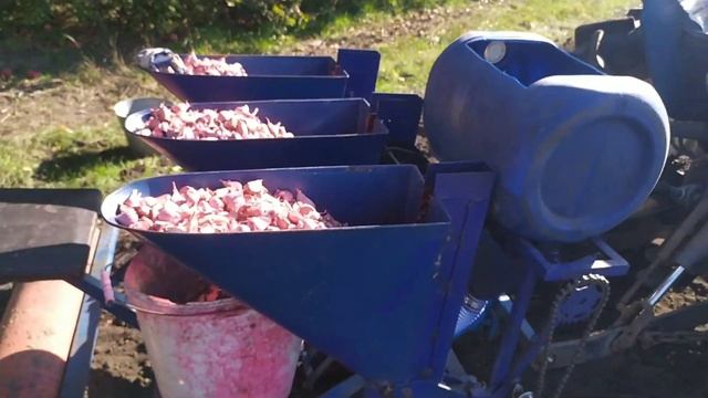 ПОСАДКА ЧЕСНОКА в разгаре! Некоторые нюансы этого сезона. смотреть онлайн