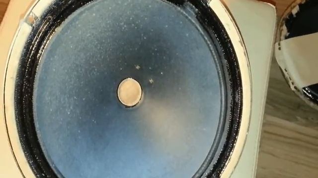 Vintage 10 inch low range speaker 6GD2 (6ГД2) from tube radio Simfonija смотреть онлайн