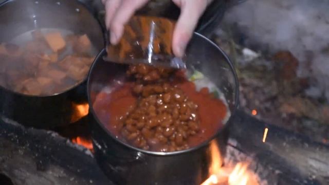 Winter Camping Under A Tarp With My Dogs смотреть онлайн