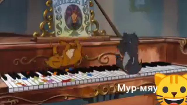 Клип кошечек красиво смотреть онлайн