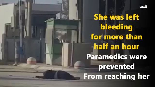 Jihan Hashima lost her way in Jerusalem until she reached Qalandia Checkpoint смотреть онлайн