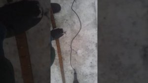 Как согнуть профильную трубу ? Без трубогиба жесть