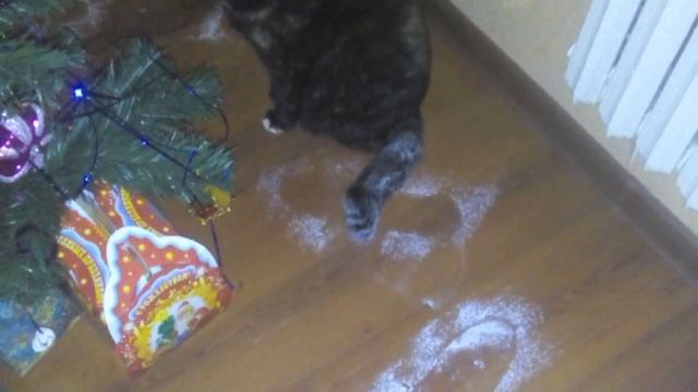 Грустная песня с котами. смотреть онлайн