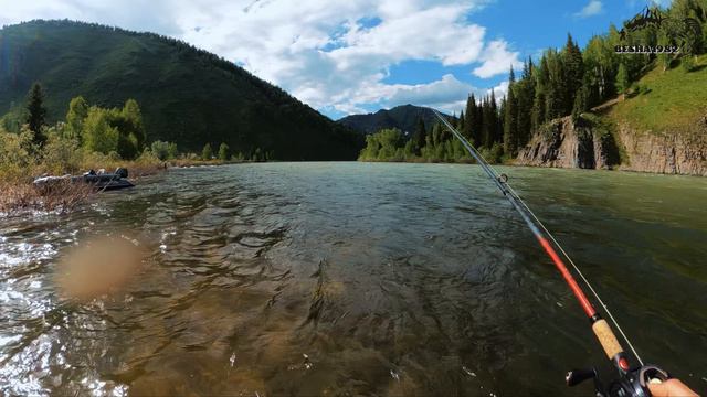 Где искать рыбу летом!? Рыбалка на Алтае по хариусу. Эксклюзивный отдых на АЛТАЕ. Часть 1 смотреть онлайн