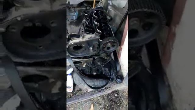 Топовые тренды