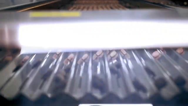 Добро пожаловать в пространство биоинноваций! смотреть онлайн