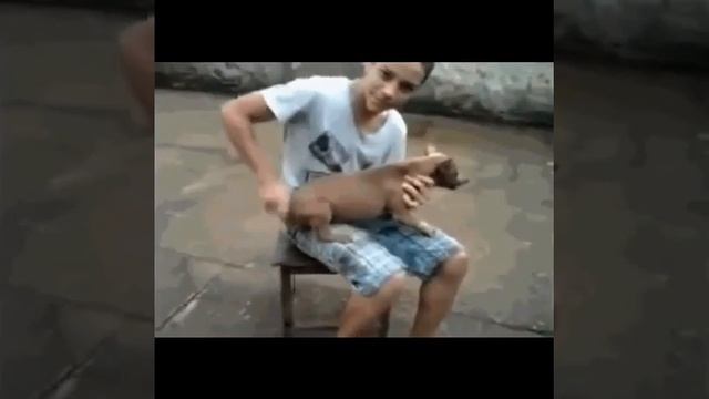И смех и грех. смотреть онлайн