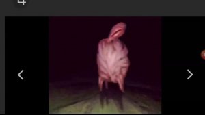 SCP-4158 БОЛЬШОЙ Чарли творение Тревора Хендерсона|история появления, семья и сородичи, теории,