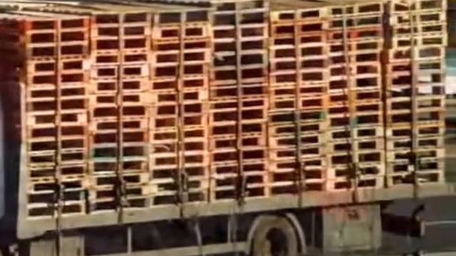 M D Transport смотреть онлайн