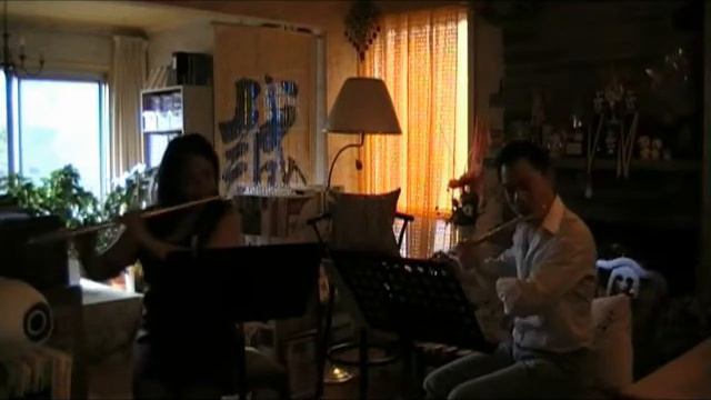 Mercadante, Saverio - Drei Duos - Duo II Adagio смотреть онлайн