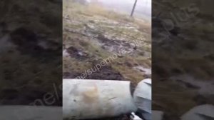 Документальное подтверждение применения универсального модуля планирования и коррекции