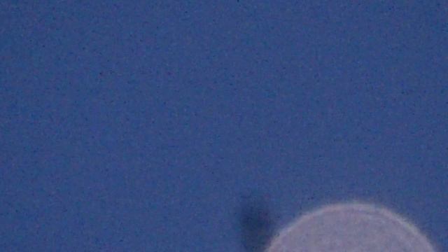 Странная звезда Голландия, лето 2020 смотреть онлайн