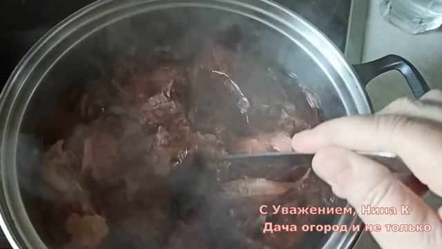 РАССАДА ТОЛСТЕЕТ НА ГЛАЗАХ! ОРГАНИЧЕСКАЯ ПОДКОРМКА РАССАДЫ ТОМАТОВ. Удобрение из Луковой Шелухи смотреть онлайн