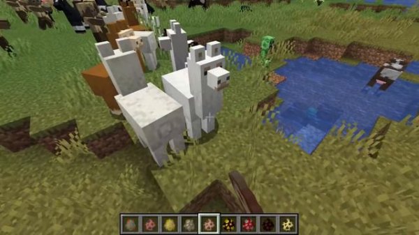 Minecraft - All Spawn Eggs.