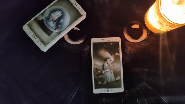 Король Мечей.Николетта Чекколи #таро #школатаро #обучениетаро