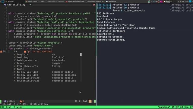 Cyber Offense and Defense - Pills from lecture 2 - SQL injection смотреть онлайн