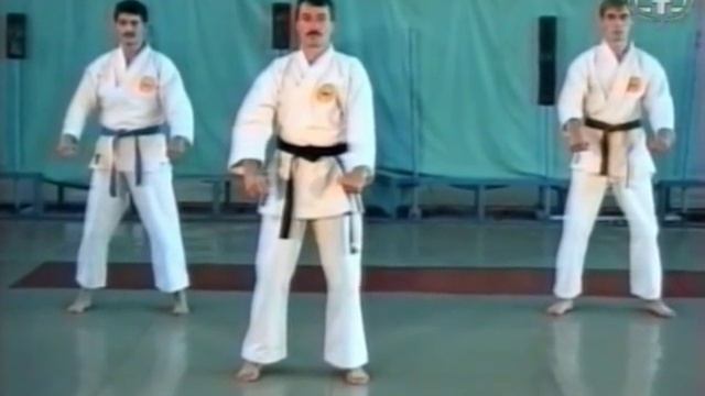 Тигр и восходящее солнце шотокана 31 смотреть онлайн