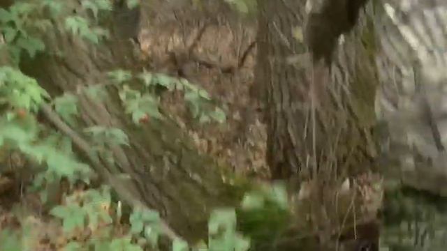 Аномальная зона портал смотреть онлайн